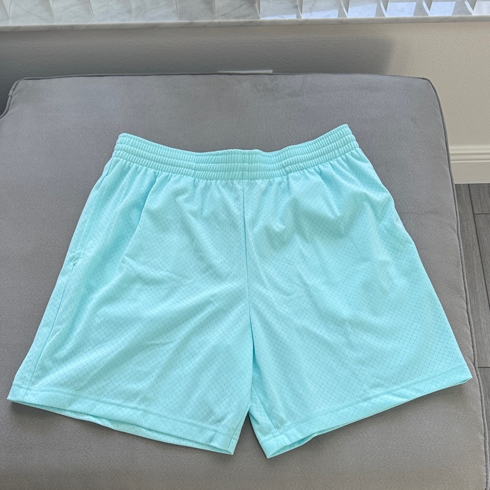 Light Blue Mens Women’s  Shorts